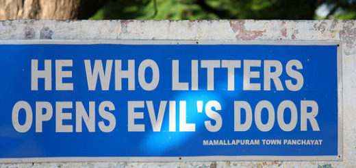Rightly said - great indian litterbug