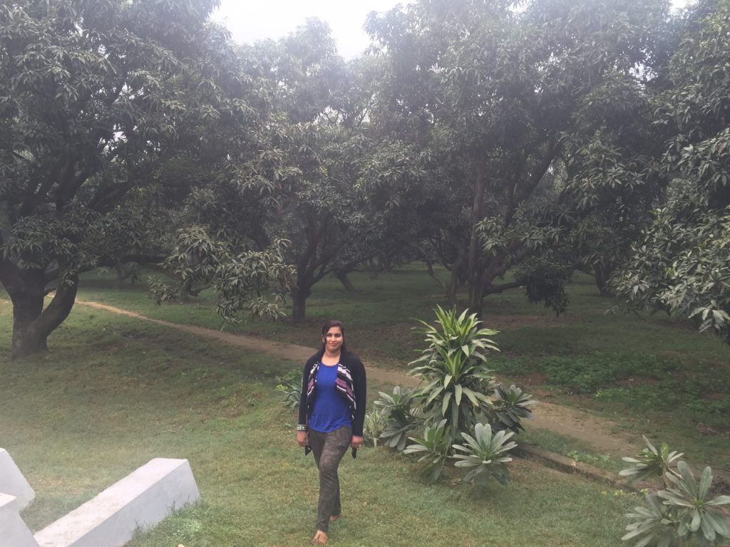 Walk in the Mango orchard at Fort Unchagaon