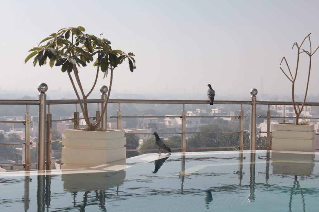 Infinity Pool at Narendra Bhawan, Best place to stay in Bikaner