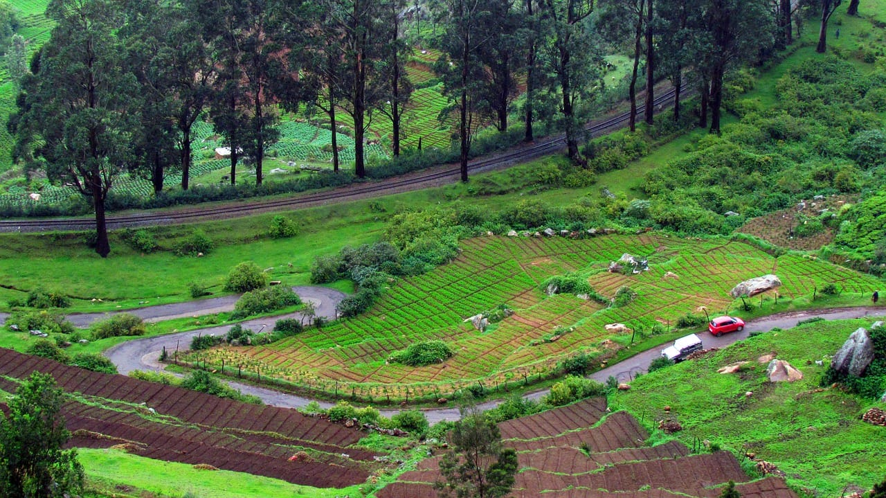 Three days trip short trip to Ooty